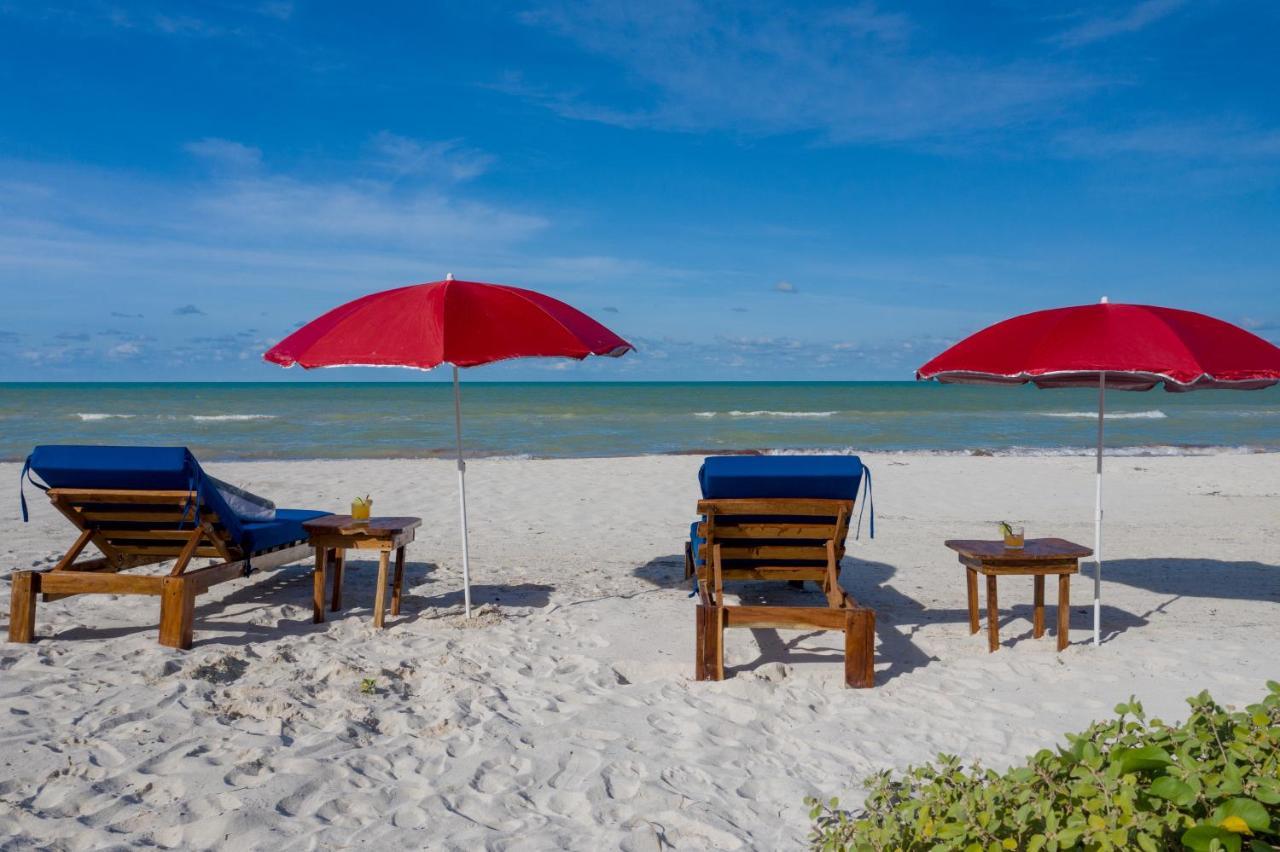 Casa Mate Beachfront Cabanas El Cuyo Dış mekan fotoğraf
